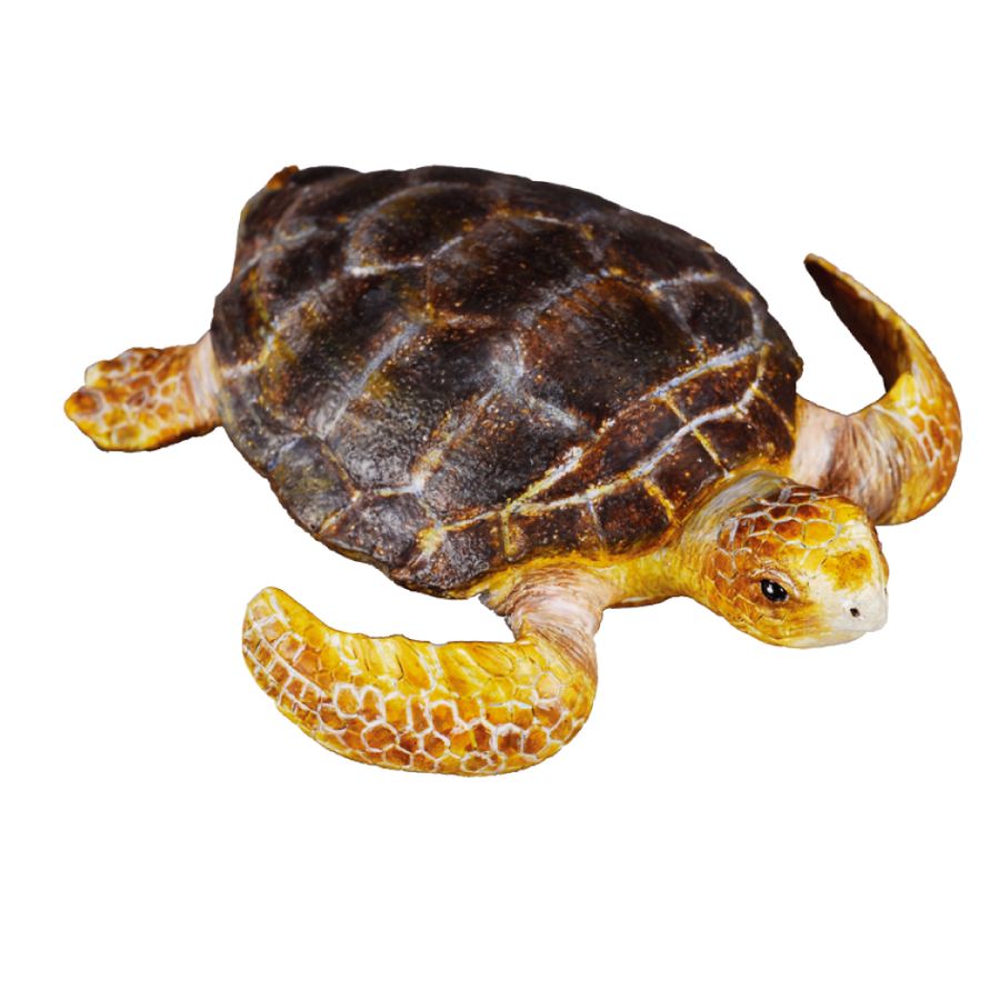 Collecta Medium Loggerhead Turtle
