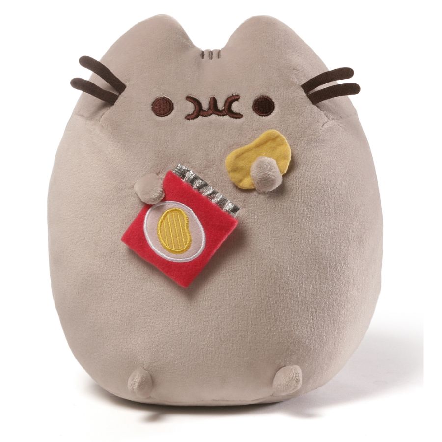 Pusheen Plush With Chips 24cm