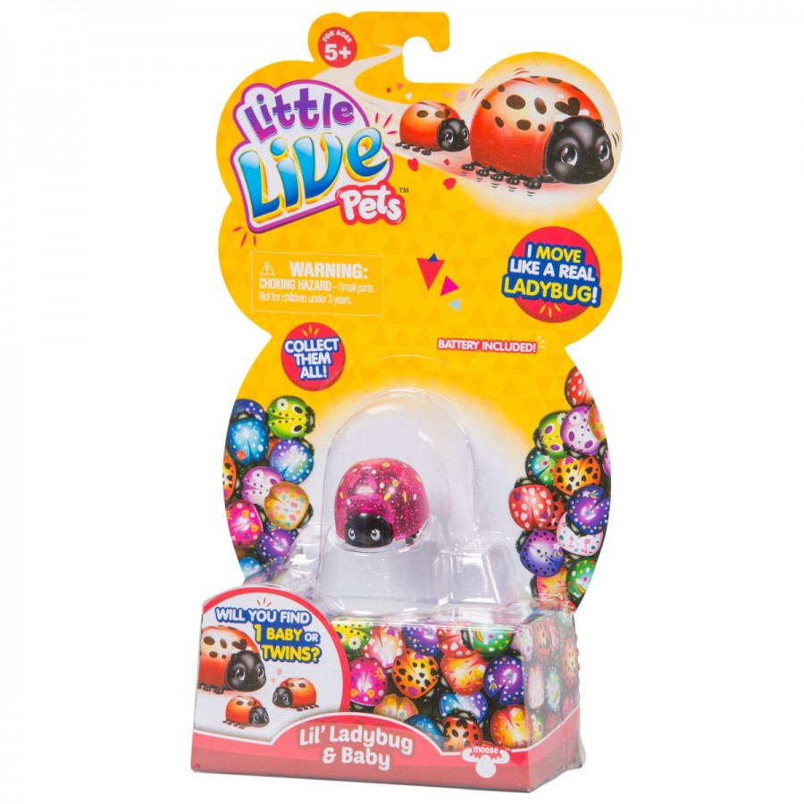 Little Live Pets Lil Ladybug S1 Single Pack Assorted