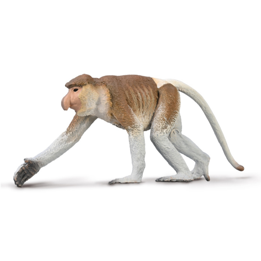 Collecta Large Proboscis Monkey