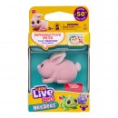 Little Live Pets Lil Needees Single Pack Assorted