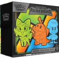 Pokemon Trading Card Game Kangaskhan-GX Box Collection - Trading Card Games  from Hills Cards UK