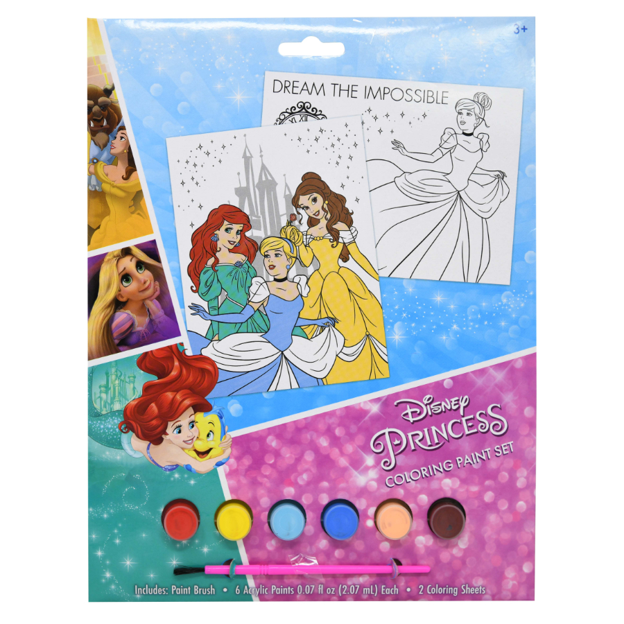 Disney Princess Poster With Paint Craft Kit