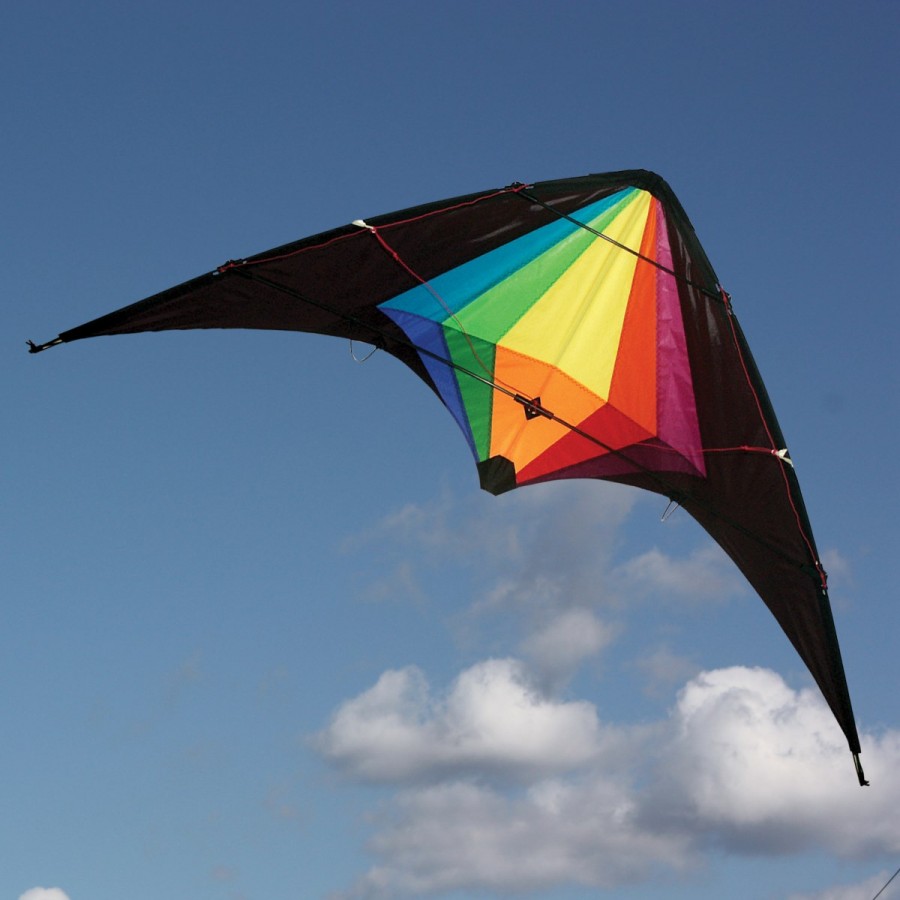 Ocean Breeze Dual Control Kite 1.5m Black Widow