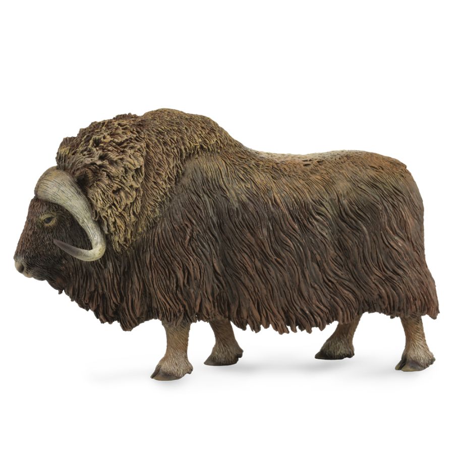 Collecta Large Musk Ox