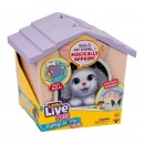 Little Live Pets My Puppys Mini Home Assorted