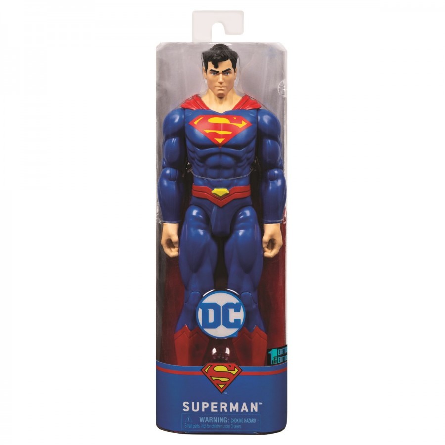 DC Universe 12 Inch Figure Assorted