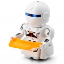 Silverlit Robo Mini Droid Z Asstorted