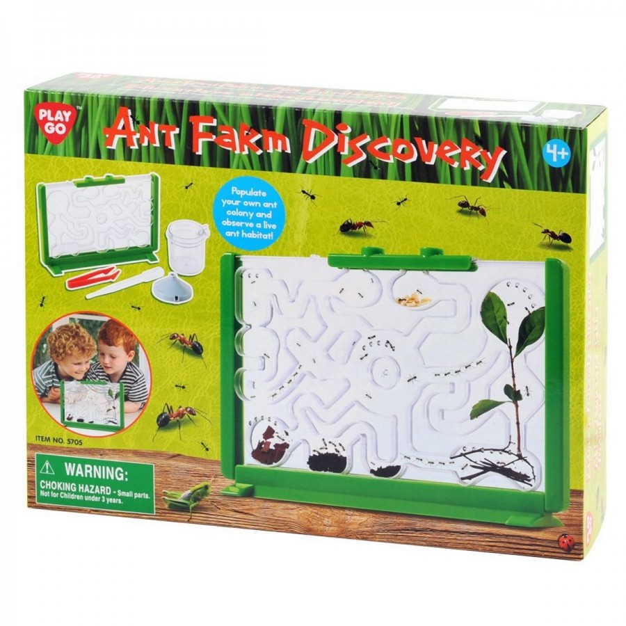 Ant Farm Discovery
