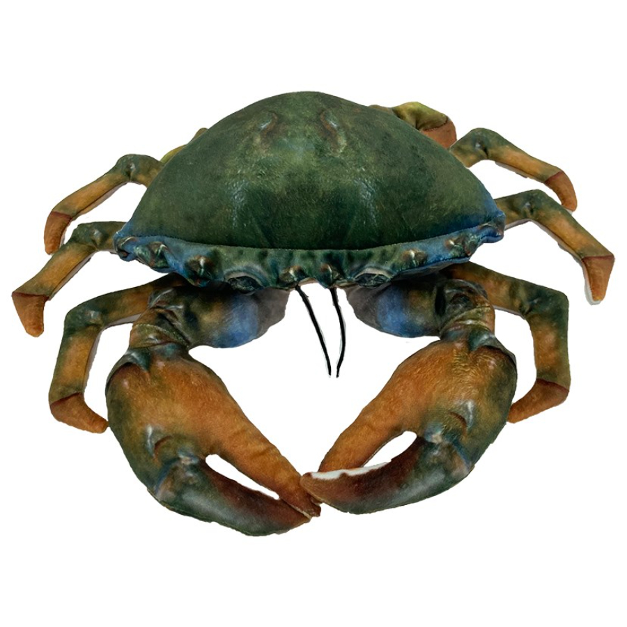 Mason The Mud Crab Plush 35cm