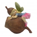 Gumnut Fairy Sleeping On Gumnut