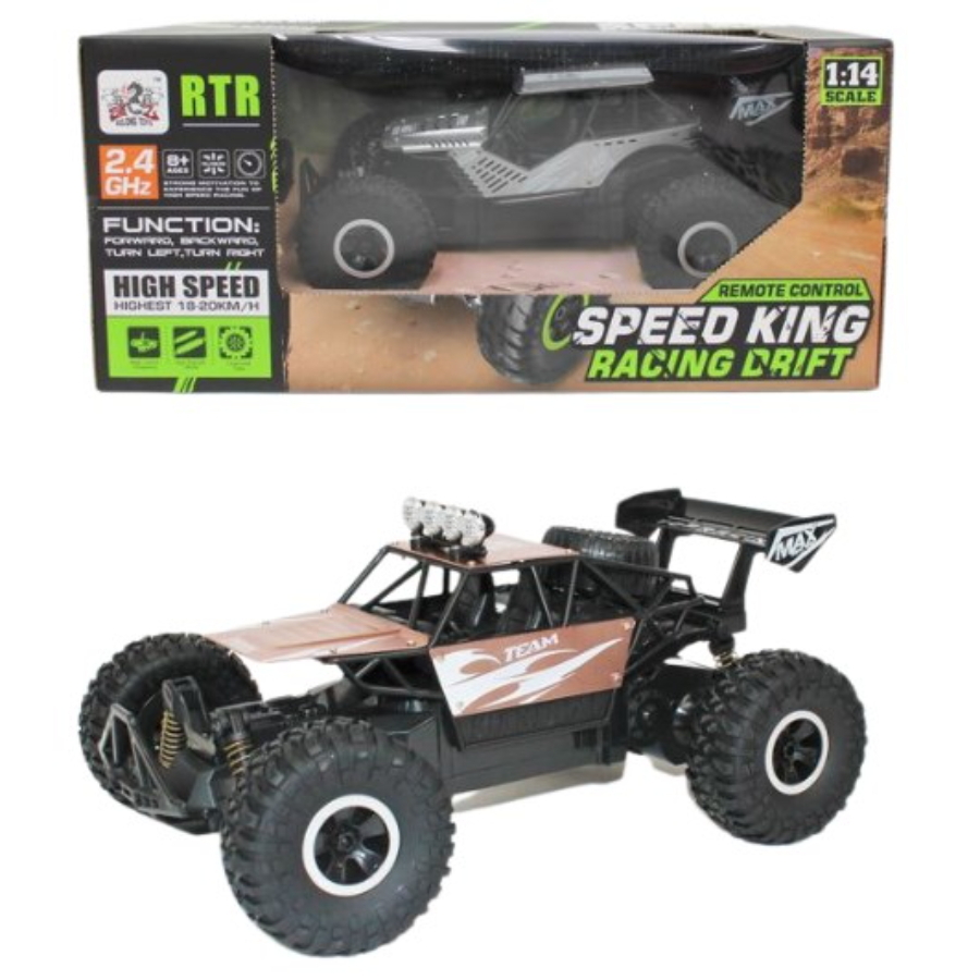 Radio Control Speed King Sprint Buggy Assorted