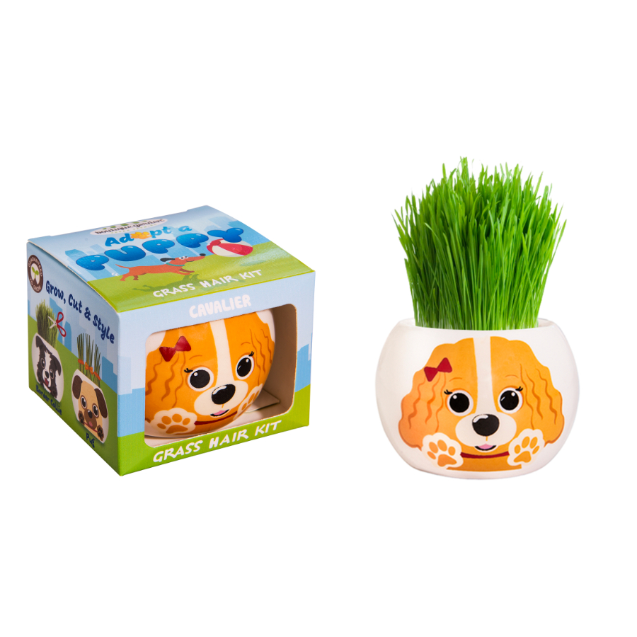 Grass Hair Kit Puppy Assorted