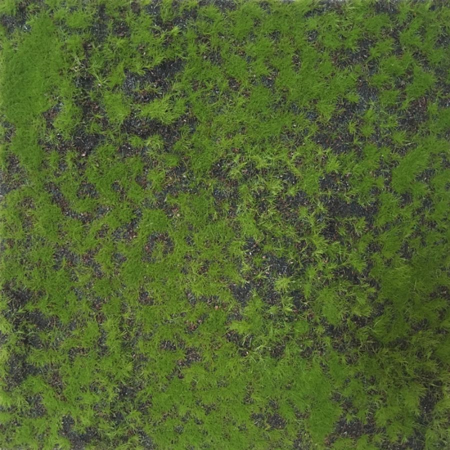 Moss Grass Square Mat