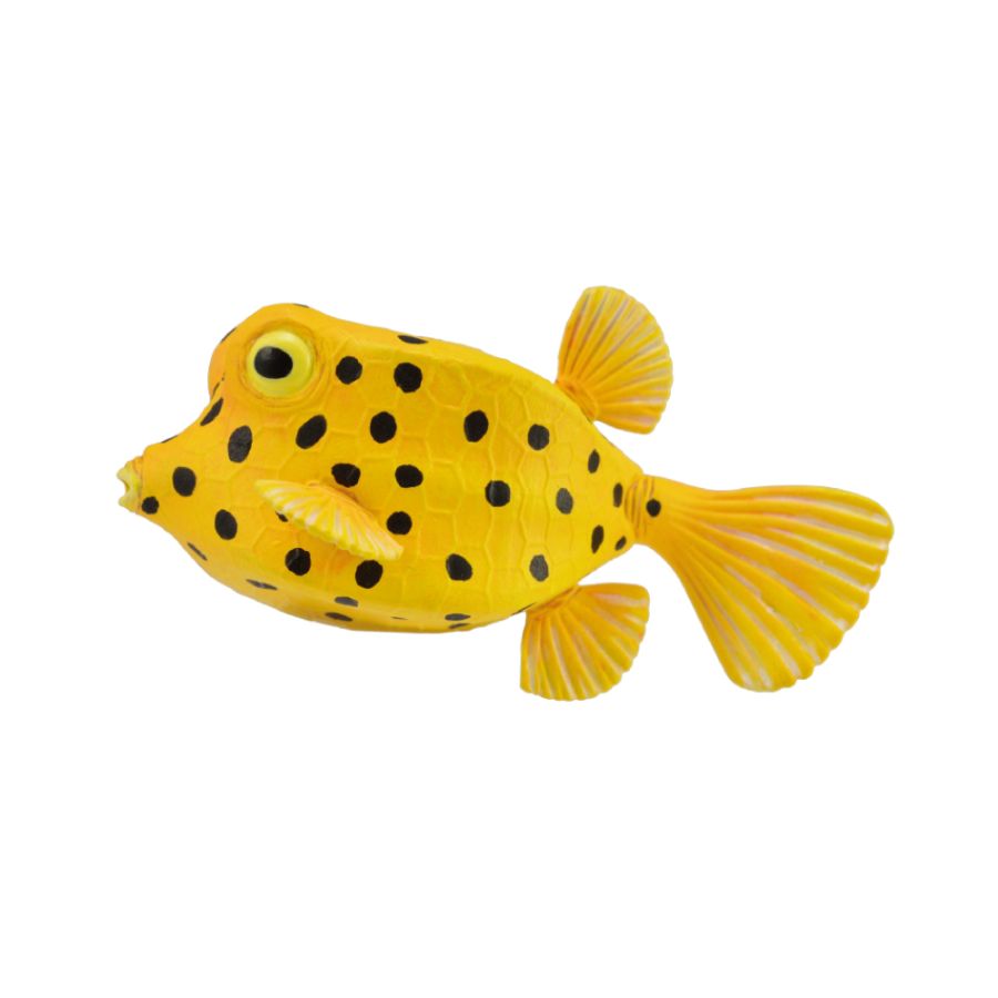 Collecta Small Boxfish
