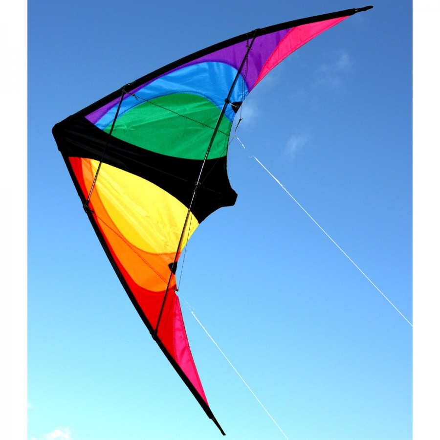 Ocean Breeze Stinger Twister Dual Control Kite Assorted