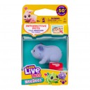 Little Live Pets Lil Needees Single Pack Assorted