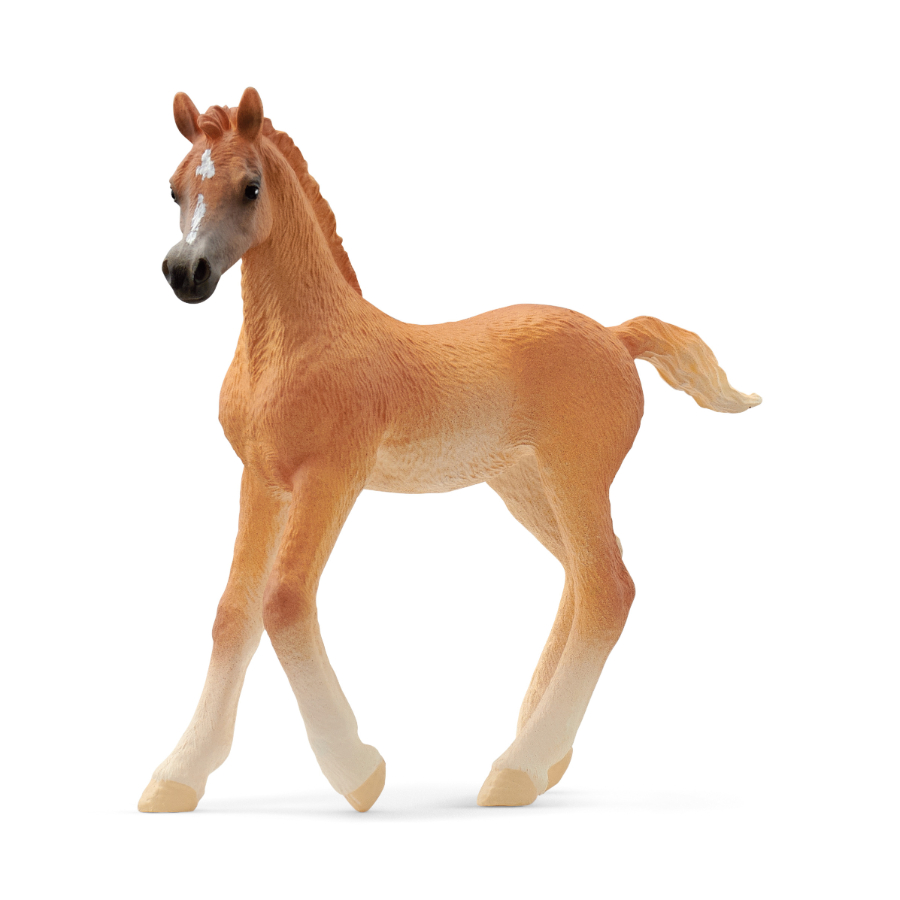 Schleich Horse Arab foal