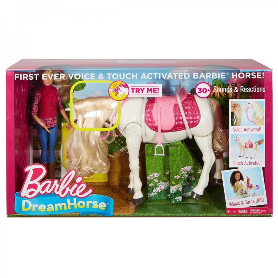 Barbie Dream Horse & Doll