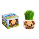 Grass Hair Kit Puppy Assorted