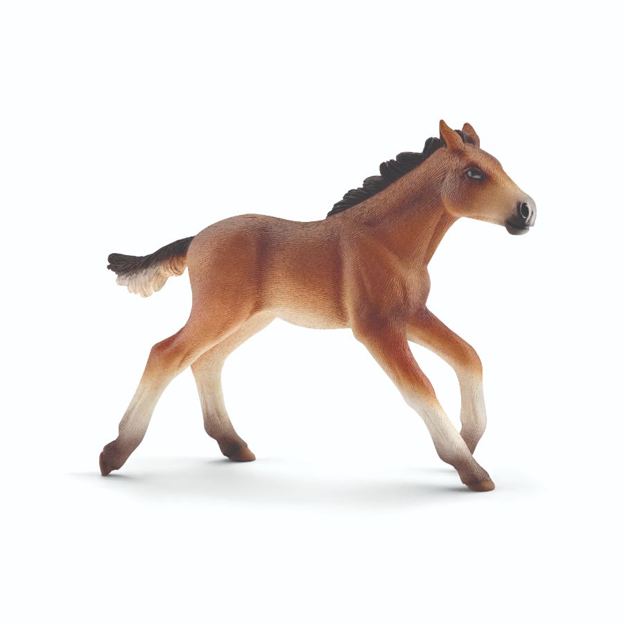Schleich Horse Mustang Foal