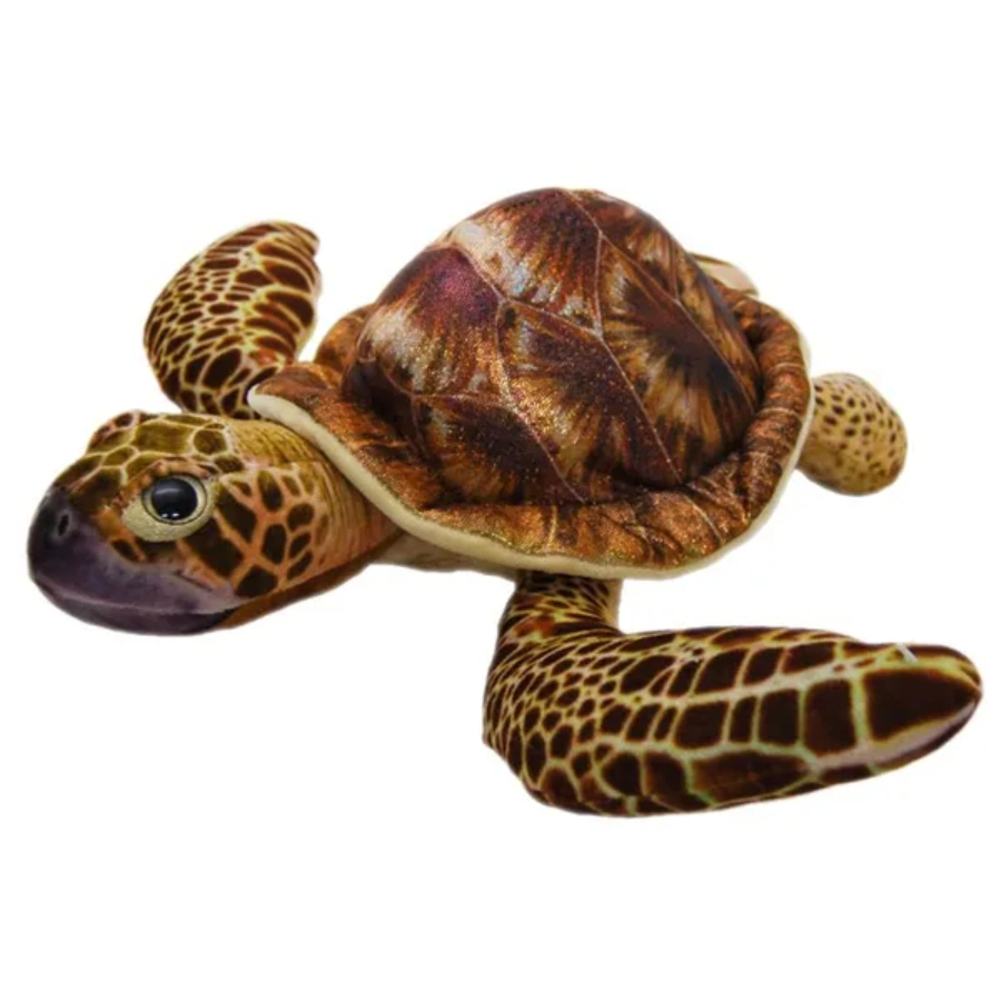 Turtle Turbo Brown 30cm