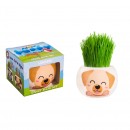 Grass Hair Kit Puppy Assorted