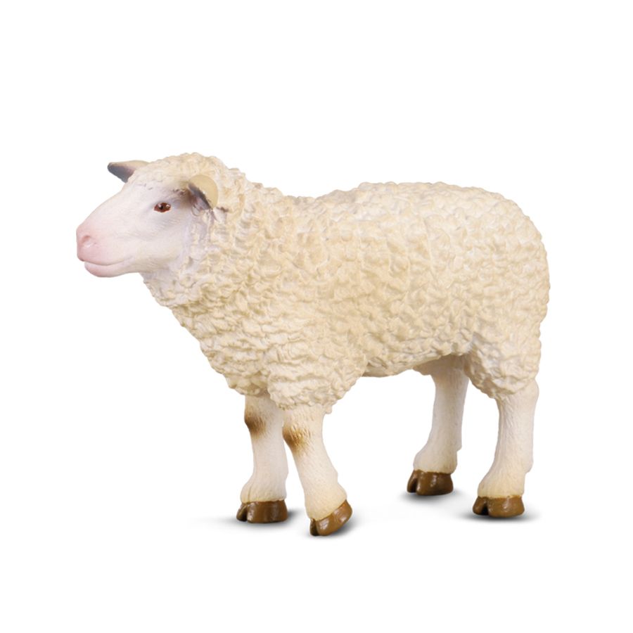 Collecta Medium Sheep