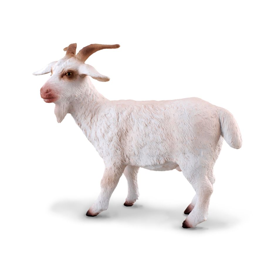Collecta Medium Billy Goat