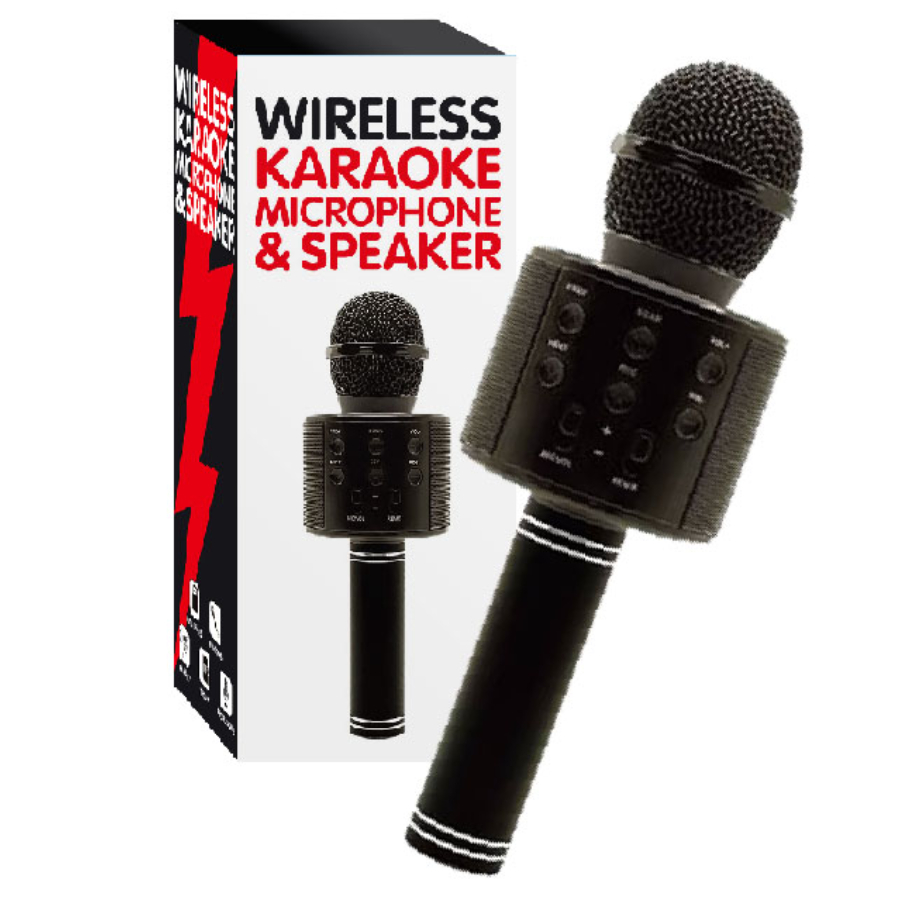Karaoke Microphone & Speaker Wireless